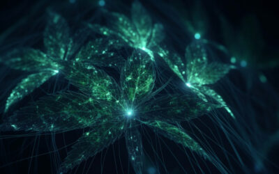 Unlock the Power of Medical Marijuana Education: Harness the Xespi AI Dataset